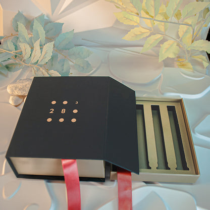 Depotnaro Two-Layer Flip-Top Cosmetic Gift Box - Black - View 2